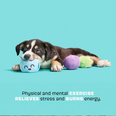 Show full view: BARK Wild Berry Bunch 3-in-1 Plush Dog Toy slide 3 of 8