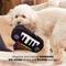 Show in main carousel: BARK Wonder Keyboard Squeaky Plush Dog Chew Toy, Small/Medium slide 3 of 8