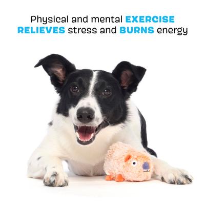 Show full view: BARK Yobbo Wombat Rip & Reveal Squeaky Plush Dog Toy, Small slide 4 of 9