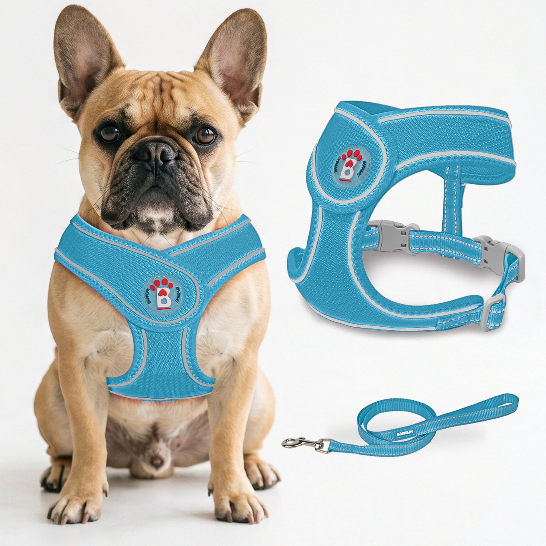 BARKBAY No Pull Reflective Dog Harness & Leash, Blue, X-Small: 12 to 13.5-in chest