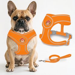 BARKBAY No Pull Reflective Dog Harness & Leash, Orange, Small: 13.5 to 16.5-in chest