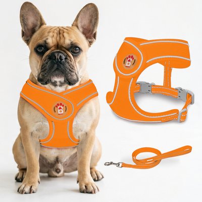 BARKBAY BARKBAY No Pull Reflective Dog Harness & Leash, Orange, X-Large: 24 to 29-in chest