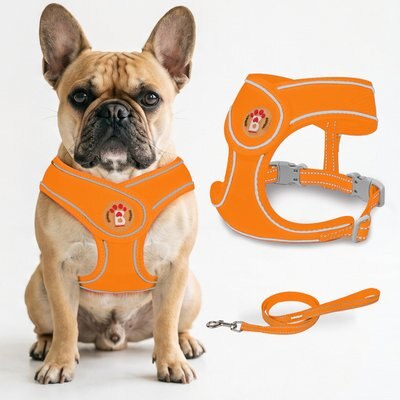 BARKBAY BARKBAY No Pull Reflective Dog Harness & Leash, Orange, X-Small: 12 to 13.5-in chest