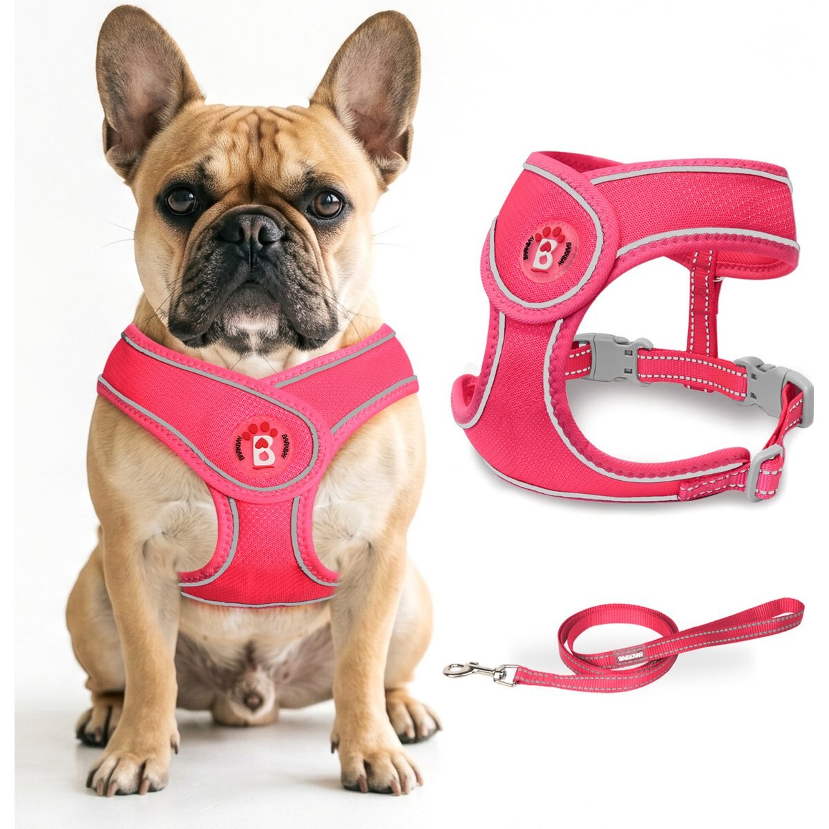 BARKBAY No Pull Reflective Dog Harness & Leash, Pink, Large: 19 to 24.5-in chest