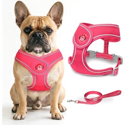 BARKBAY BARKBAY No Pull Reflective Dog Harness & Leash, Pink, Large: 19 to 24.5-in chest