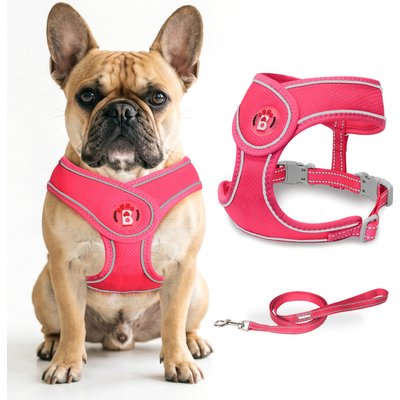 BARKBAY BARKBAY No Pull Reflective Dog Harness & Leash, Pink, X-Large: 24 to 29-in chest