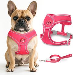 BARKBAY No Pull Reflective Dog Harness & Leash, Pink, X-Small: 12 to 13.5-in chest