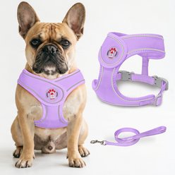 BARKBAY No Pull Reflective Dog Harness & Leash, Violet Purple, Small: 13.5 to 16.5-in chest