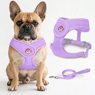 BARKBAY BARKBAY No Pull Reflective Dog Harness & Leash, Violet Purple, X-Large: 24 to 29-in chest