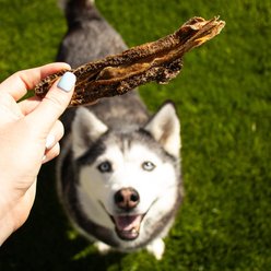 Barkin Limited-Ingredient Lamb Green Tripe Dehydrated Dog Treats, 3-oz pouch slide 2 of 8