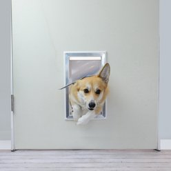 BarksBar Plastic Dog Door, Small/Medium