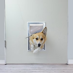 Out of Stock BARKSBAR Plastic Dog Door, Small/Medium