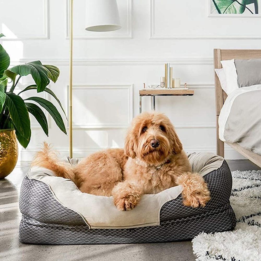 BarksBar Snuggly Sleeper Orthopedic Bolster Dog Bed with Removable Cover, Gray