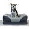 Show in main carousel: BarksBar Snuggly Sleeper Orthopedic Bolster Dog Bed with Removable Cover, Gray, Medium slide 1 of 8