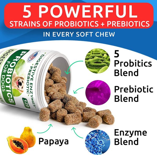 Curated visual reference: Bark Spark Dog Probiotics For Dogs With Digestive Enzymes Prebiotics Photo Inspiration