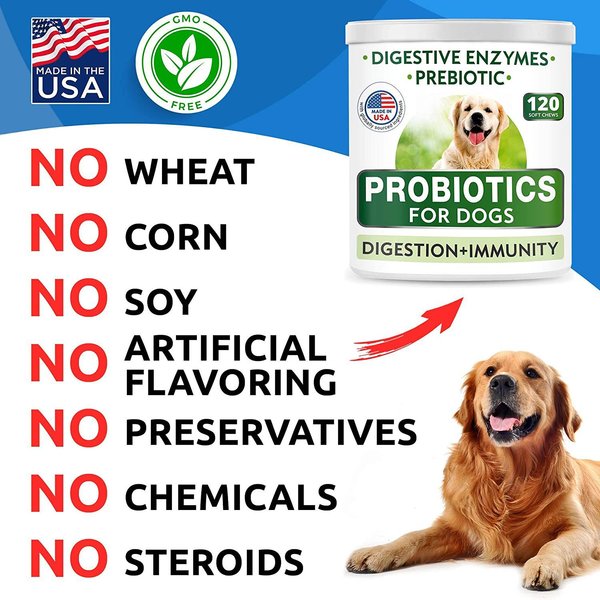 Beautiful view of Fiber And Prebiotics For Dog Arthritis