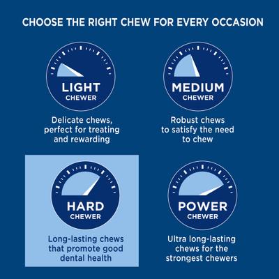 Show full view: Barkworthies 12-inch Collagen Beef Dog Bone slide 3 of 5