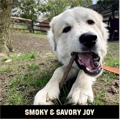 Show full view: Barkworthies 4-5-in Smoked Beefy Sticks Dog Treat, 15 count slide 8 of 10