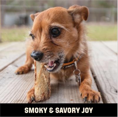 Show full view: Barkworthies 4-6-in Smoked Beef Rib Bones Dog Treat, 10 count slide 8 of 10
