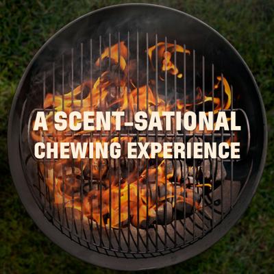 Show full view: Barkworthies 4-6-in Smoked Beef Rib Bones Dog Treat, 10 count slide 9 of 10