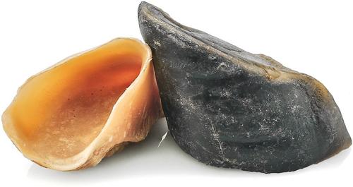 Show full view: Barkworthies Cow Hooves Dog Chews, 12 count slide 3 of 4