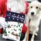 Show in main carousel: Barkworthies Deck the Paws Holiday Advent Calendar Dog Treat slide 4 of 10