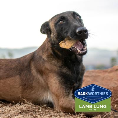 Show full view: Barkworthies Lamb Lung Dehydrated Dog Treats, 12-oz bag slide 4 of 9