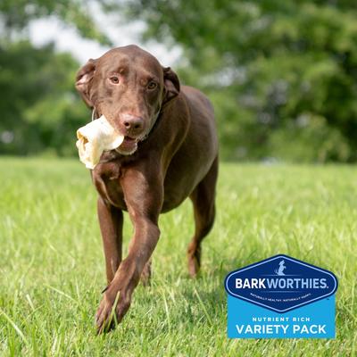 Show full view: Barkworthies Large Breed Variety Pack Natural Dog Chews, 4 count slide 6 of 11