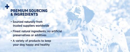 Show full view: Barkworthies Odor-Free American Bully Sticks 6" Dog Treats, 6 count slide 5 of 9