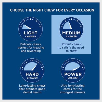 Show full view: Barkworthies Odor-Free Double Cut 12" Bully Sticks Dog Treat, 1 count slide 5 of 11