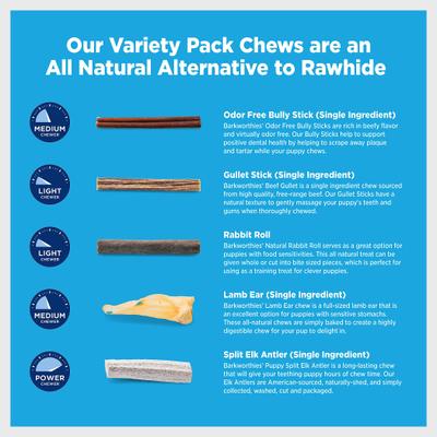 Show full view: Barkworthies Puppy Variety Pack Natural Dog Chews, 5 count slide 5 of 11