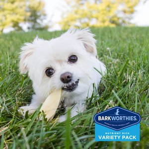Barkworthies Puppy Variety Pack Natural Dog Chews, 5 count
