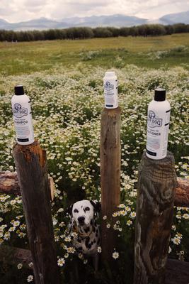 Show full view: Barn Dog All Natural Dog Dry Shampoo, 16-fl oz bottle slide 4 of 10