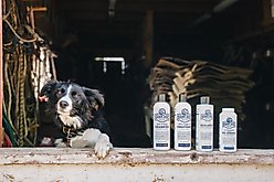 Barn Dog Dog Conditioner, 16-fl oz bottle slide 2 of 7