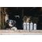Show in main carousel: Barn Dog Dog Conditioner, 16-fl oz bottle slide 7 of 9
