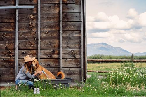 Show full view: Barn Dog Dog Conditioner, 16-fl oz bottle slide 4 of 9