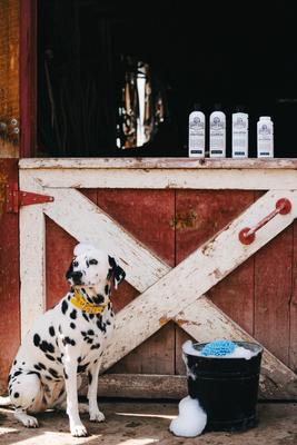 Show full view: Barn Dog Skin Lotion Dog Skin Irritation Treatment Lotion, 16-fl oz bottle slide 3 of 10