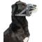 Show in main carousel: Baskerville INVISA Dog Basket Muzzle, Grey, Size 2 slide 2 of 6