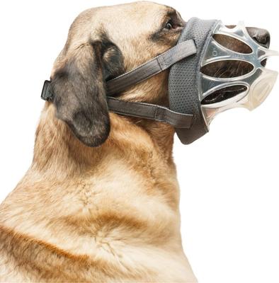 Show full view: Baskerville INVISA Dog Basket Muzzle, Grey, Size 6 slide 2 of 6