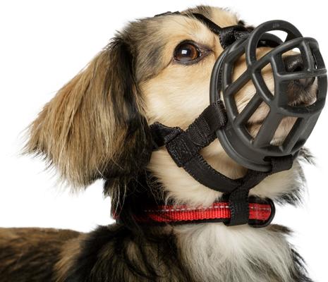 Show full view: Baskerville Ultra Dog Adjustable Basket Muzzle, Black, Size 4 slide 9 of 11