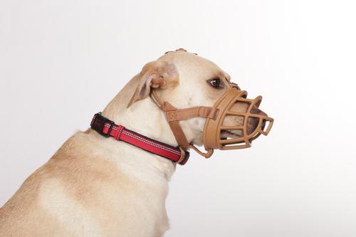 Show full view: Baskerville Ultra Dog Adjustable Basket Muzzle, Tan, Size 2 slide 3 of 8
