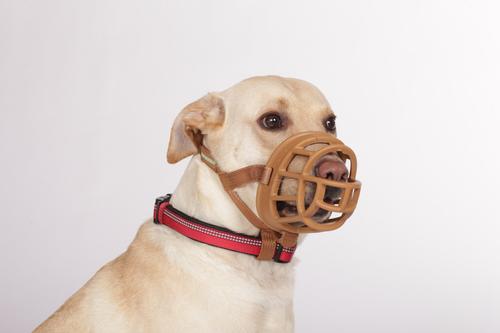 Show full view: Baskerville Ultra Dog Adjustable Basket Muzzle, Tan, Size 2 slide 4 of 8