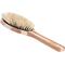 Show in main carousel: Bass Brushes The Green Pet Oval Brush, Bamboo-Stiped Finish, Large slide 1 of 6