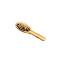 Bass Brushes The Green Pet Oval Brush, Bamboo-Stiped Finish, Small