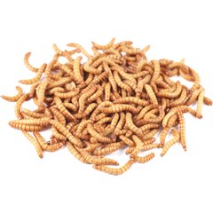 Bassett's Cricket Ranch Mealworms Live Reptile Food, Large: 3/4-in, 50 count