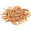 Show in main carousel: Bassett's Cricket Ranch Mealworms Live Reptile Food, Large: 3/4-in, 500 count slide 1 of 4