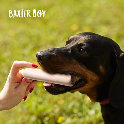 Show full view: Baxter Boy 5 to 6-in Stuffed Marrow Bone Filled with Peanut Butter Flavor Dog Bone, Large slide 8 of 9