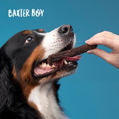 Show full view: Baxter Boy Bully Grain-Free Jerky Dog Treats, 8-oz bag slide 8 of 8