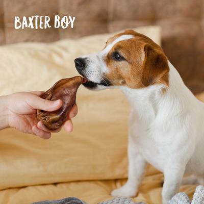 Show full view: Baxter Boy Half Pig Ear Natural Dog Chew Treat, 10 count slide 8 of 9