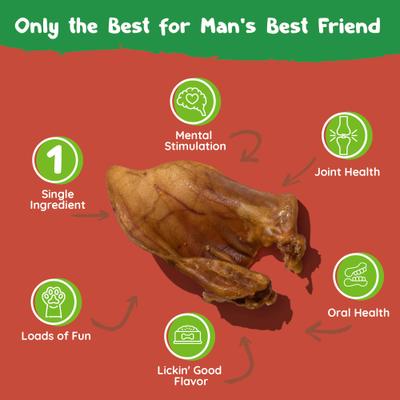 Show full view: Baxter Boy Half Pig Ear Natural Dog Chew Treat, 10 count slide 4 of 9